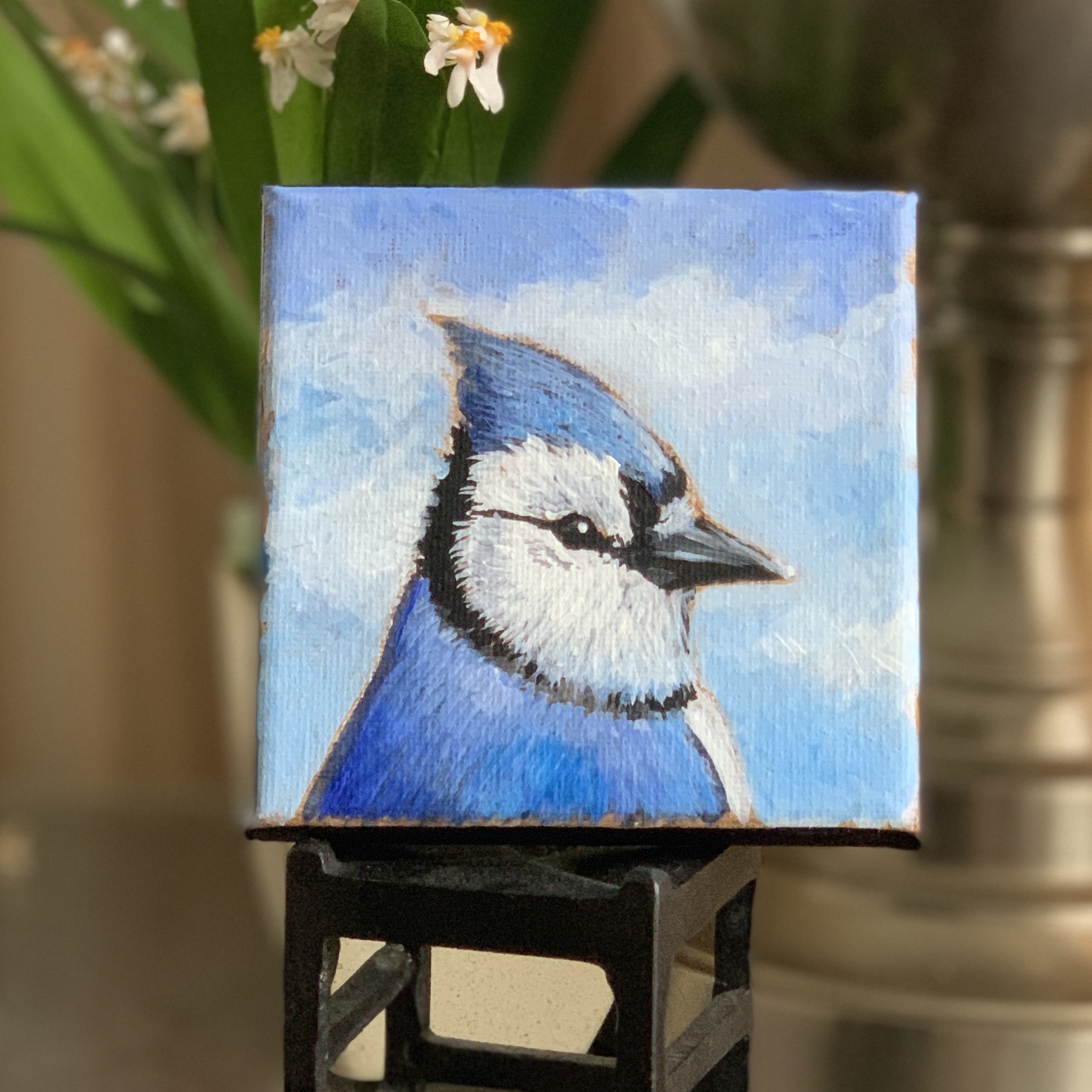 Design your own petite mini! 4x4 canvas with bird of your choice